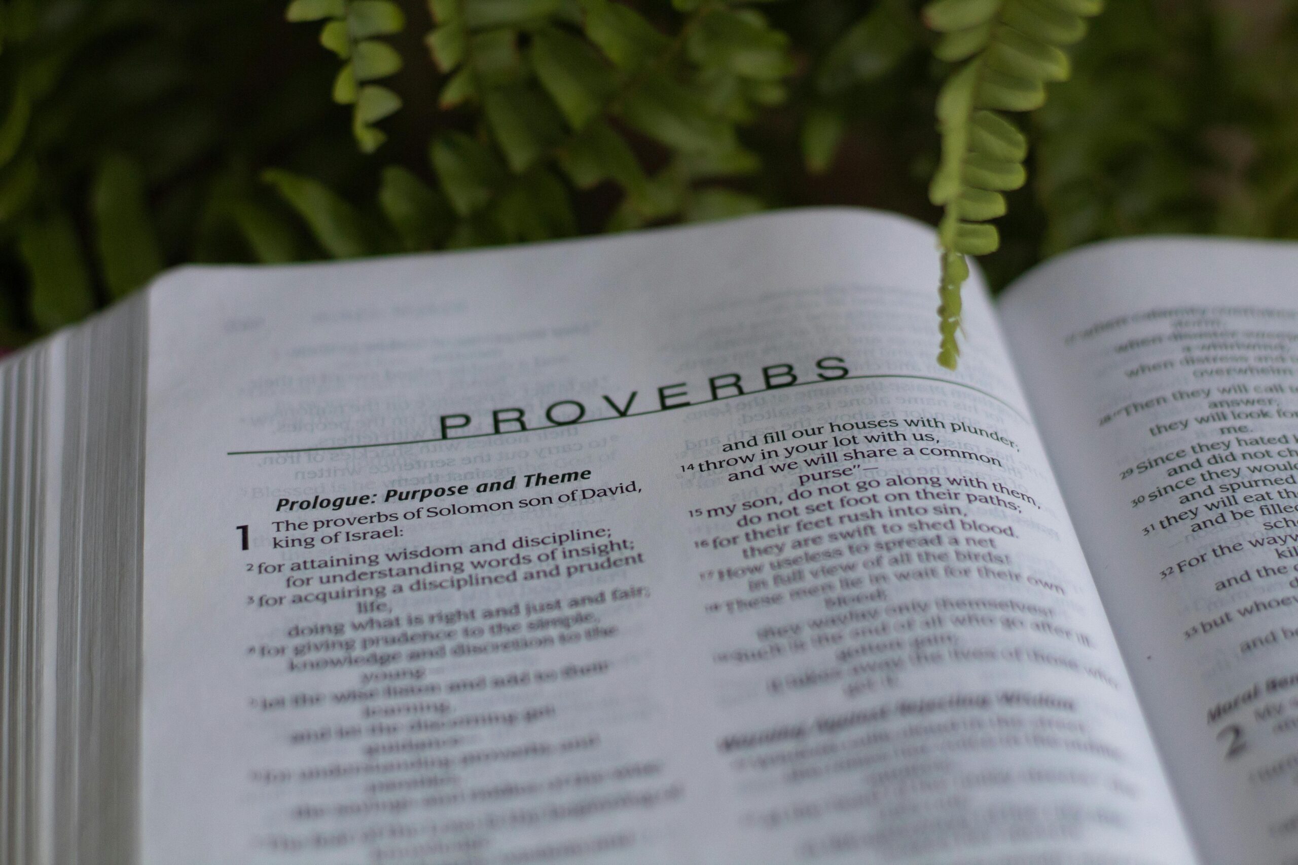 Responding to the Wisdom of Proverbs