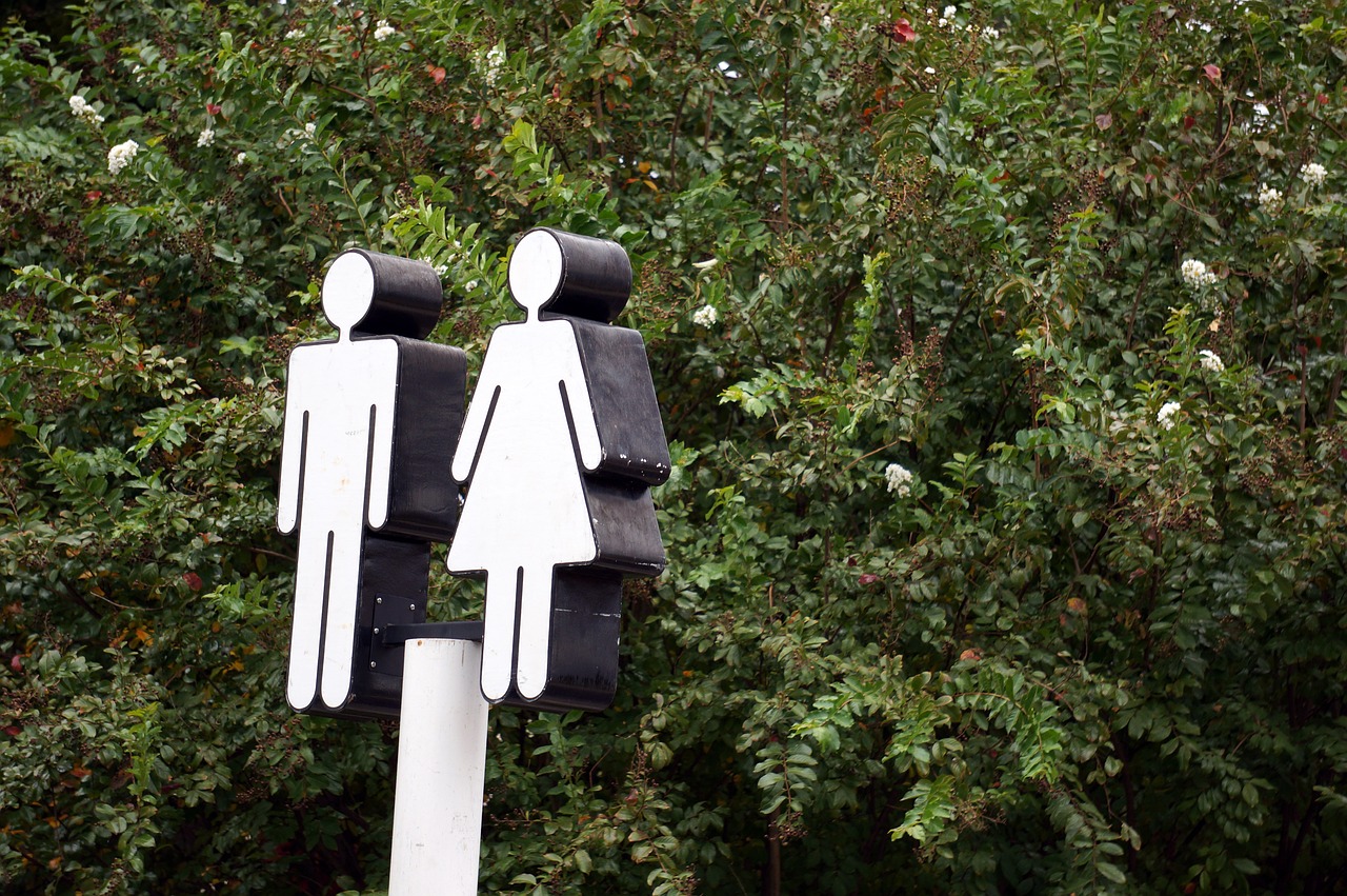 Introduction To Gender and the Bible